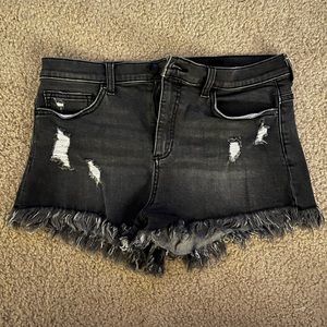 SP Black Label, black Jean Shorts, good condition, size L